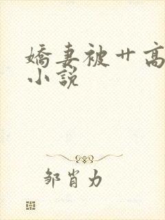 娇妻被艹高潮的小说