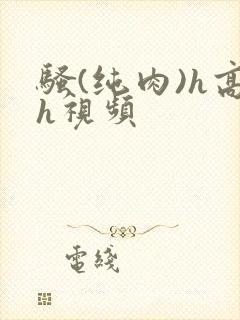 骚(纯肉)h高h视频