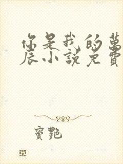 你是我的万千星辰小说免费阅读全文