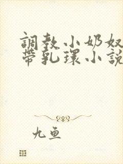 调教小奶奴穿环带乳环小说