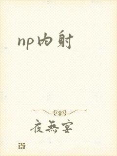 np内射封面