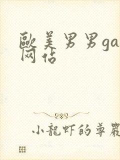 欧美男男gay网站封面