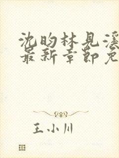 沈昀林见溪小说最新章节免费阅读