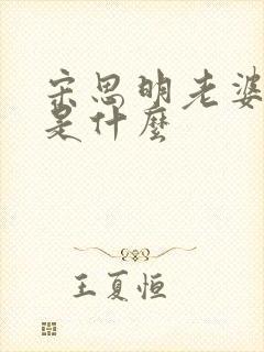 宋思明老婆结局是什么