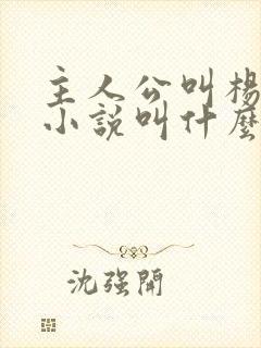 主人公叫杨辰的小说叫什么名字