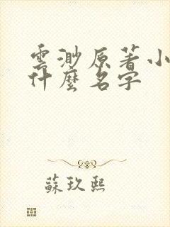 云渺原著小说叫什么名字