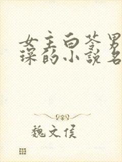 女主白苓男主傅琛的小说名字