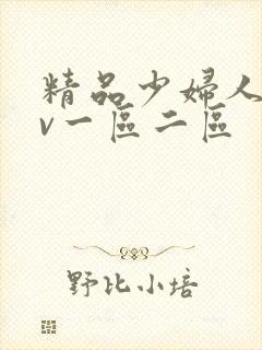 精品少妇人妻av一区二区