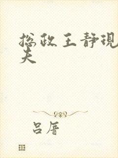 总政王静现任丈夫封面