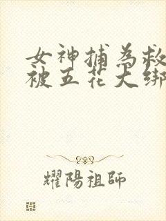 女神捕为救女侠被五花大绑