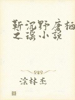 靳沉野唐栖雾孟之瑶小说