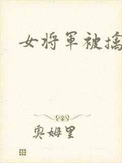 女将军被擒小说封面