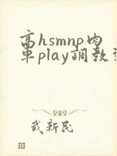 高hsmnp肉车play调教惩罚重口