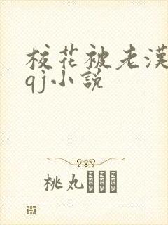 校花被老汉狂肉qj小说封面