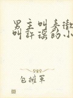 男主叫秦彻女主叫许瑶的小说