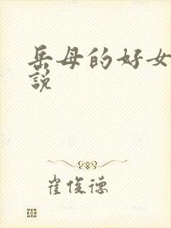 岳母的好女婿小说
