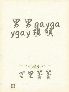 男男gaygaygay视频