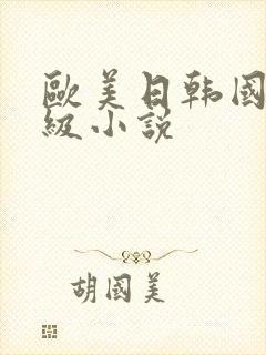 欧美日韩国产三级小说封面