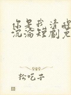 你是我清醒时的沉沦短剧免费封面