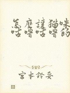 怎么让猫咪停止咕噜咕噜的声音