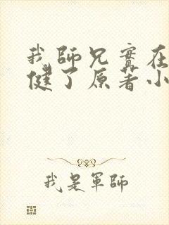 我师兄实在太稳健了原著小说封面