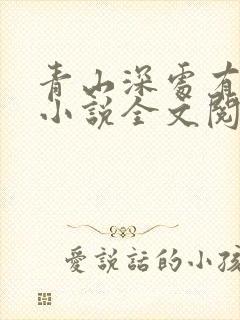 青山深处有人家小说全文阅读