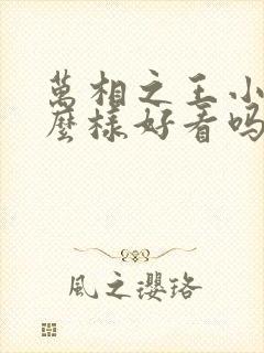 万相之王小说怎么样好看吗