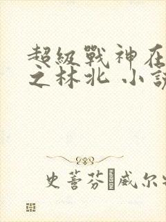 超级战神在都市之林北 小说