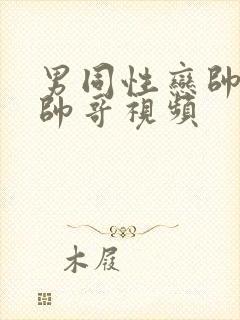 男同性恋帅哥操帅哥视频