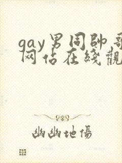 gay男同帅哥网站在线观看