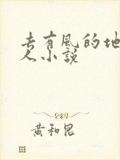 去有风的地方同人小说