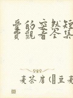 爱的突然短剧免费观看全集高清