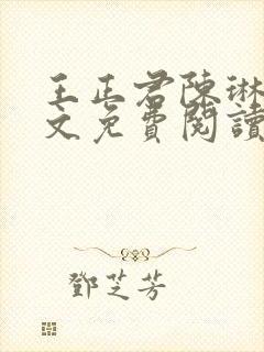 王正君陈琳洁全文免费阅读最新章节