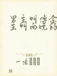 男主叫傅念琛女主叫向晚的小说