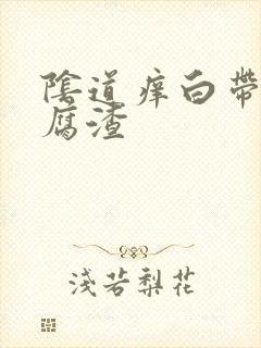 阴道痒白带是豆腐渣