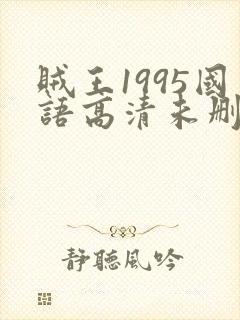 贼王1995国语高清未删减版137分钟