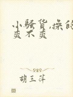 小骚货,操的你爽不爽封面