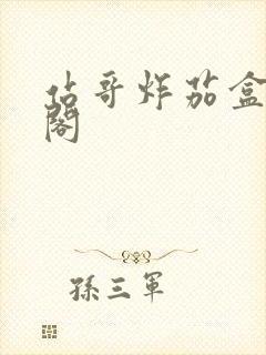 站哥炸茄盒笔趣阁