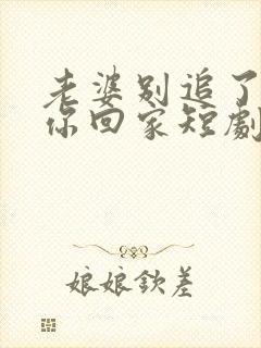 老婆别追了我跟你回家短剧免费观看全集