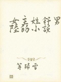 女主姓舒男主姓陆的小说