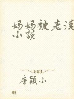 妈妈被老汉征服小说