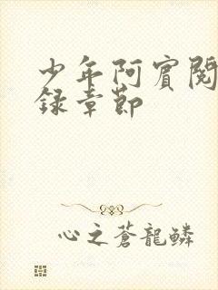 少年阿宾阅读目录章节