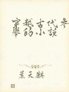 穿越古代参加科举的小说