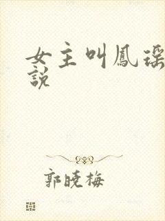 女主叫凤瑶的小说