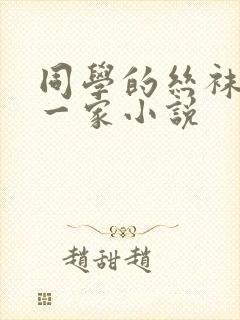 同学的丝袜美母一家小说封面