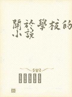 关于学校的校园小说