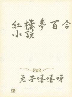 红楼梦百合同人小说