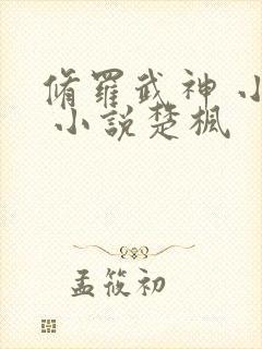 修罗武神 小说 小说楚枫