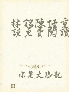 林铭陈佳重生小说免费阅读无弹窗下载封面