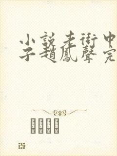 小说老街中的痞子赵凤声完整下载封面